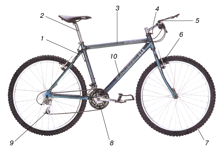 ГОРНЫЙ ВЕЛОСИПЕД, предназначенный для езды в условиях полного бездорожья. 1 - рама, уменьшенная по сравнению с рамой гоночного велосипеда; 2 - длинный седлодержатель; 3 - наклонная верхняя труба рамы; 4 - руль; 5 - манетки (рычажки управления) переключателей скоростей; 6 - усиленный рычажно-клещевой тормоз; 7 - широкие шины низкого давления с крупными грунтозацепами; 8 - три ведущие звездочки; 9 - задний переключатель скоростей; 10 - трубка большого диаметра.