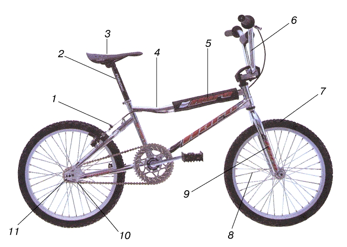 МОТОКРОССОВЫЙ ВЕЛОСИПЕД для велосипедной акробатики. 1 - тормоз заднего колеса (передний тормоз может отсутствовать); 2 - длинный седлодержатель; 3 - седло; 4 - прочная рама уменьшенных размеров; 5 - подушка; 6 - высокий прочный руль; 7 - колеса малого диаметра с широкими шинами низкого давления; 8 - короткие, толстые спицы; 9 - амортизатор; 10 - односкоростная втулка со свободным ходом; 11 - подножки.