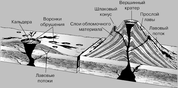 ЩИТОВОЙ ВУЛКАН (слева) с большим кратером (кальдерой), и тонким покровом застывшей лавы на поверхности. Излияния лавы могут происходить из кратера на вершине или через трещины на склонах. Внутри кальдеры, а также на склонах щитового вулкана встречаются воронки обрушения. КОНУС СТРАТОВУЛКАНА (справа) состоит из чередующихся слоев лавы, пепла, шлаков и более крупных обломков. На склоне вулкана показан шлаковый конус.