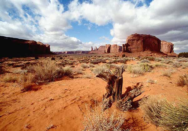 СТОЛОВОЕ ПЛАТО и останцы в природном парке племени навахо (штаты Юта и Аризона, США).