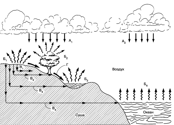 Рис. 1. КРУГОВОРОТ ВОДЫ В ПРИРОДЕ. А1 - осадки, выпадающие над сушей; А2 - осадки, выпадающие над океаном; Б1 - испарение с суши; Б2 - транспирация растительностью; Б3 - испарение с озер и рек; Б4 - испарение с океана; В1 - инфильтрация воды в почву; В2 - потребление воды растительностью; В3 - подземный сток воды в реки и озера; В4 - подземный сток воды в океан; Г - поверхностный сток в озера и реки.
