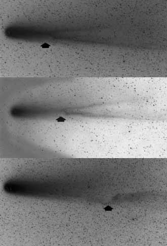 ЯВЛЕНИЕ ОБРЫВА хвоста кометы, показанное на серии фотографий кометы Галлея (сверху вниз).