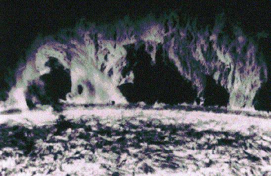 СОЛНЕЧНЫЕ ПРОТУБЕРАНЦЫ, наблюдавшейся в линии излучения гелия (длина волны 304 ) с борта космической станции Скайлэб.