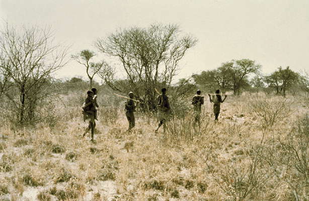 Намибия. Охотники-бушмены в Калахари.