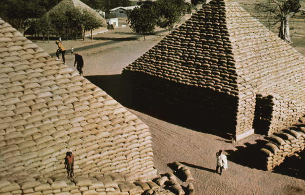 Нигерия. Арахис, сложенный пирамидой.