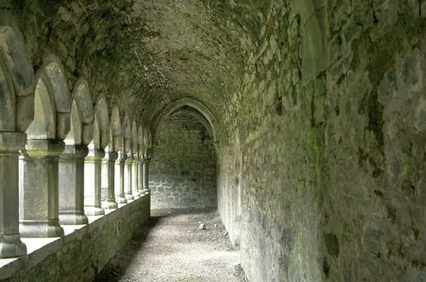 Аббатство Мойн, францисканский монастырь. Ирландия.
