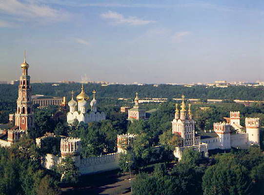 Новодевичий монастырь. Общий вид.