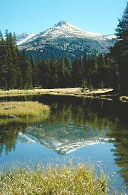 Озеро Тиога. Национальный парк Йосемити, США.