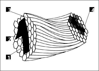 Волоконная оптика. Поэлементная передача изображения волоконной деталью: 1 - изображение на входе; 2 - светопроводящая жила; 3 - изолирующая прослойка; 4 - мозаичное изображение на выходе.