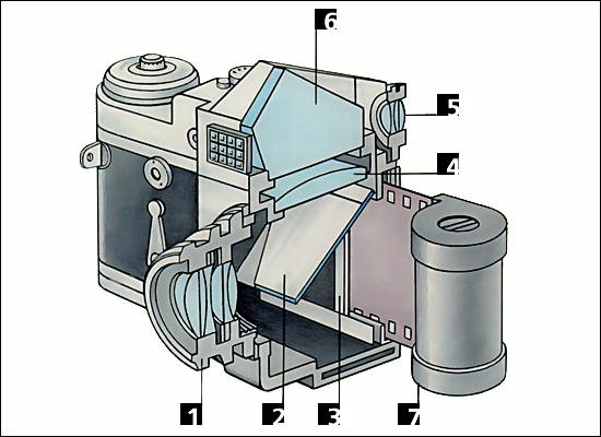 Зеркальный фотоаппарат. Схема устройства однообъективного аппарата типа Зенит: 1 - съёмочный объектив; 2 - зеркало; 3 - шторка затвора; 4 - коллективная линза; 5 - окуляр видоискателя; 6 - пентапризма; 7 - кассета с фотоплёнкой.
