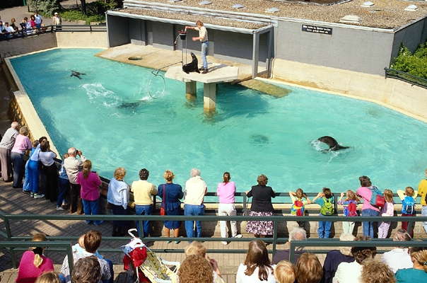 Зоопарк Гановера, Германия. Уголок морских млекопитающих.