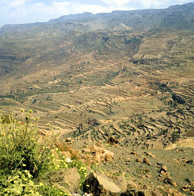 Йемен. Пейзаж на дороге Сана - Хадейда.