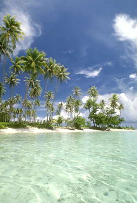 Лагуна. Французская Полинезия.