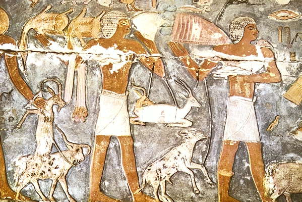 Некрополь Мемфиса. Древнеегипетская фреска.