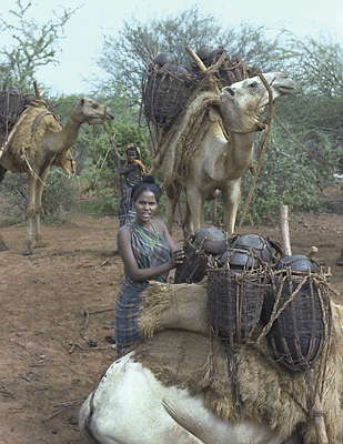 Сомали. Племя кочевников.