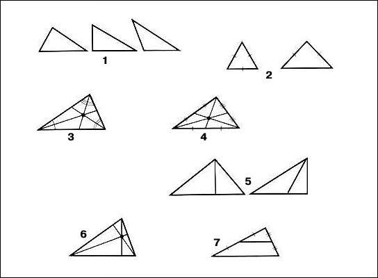 Треугольники: 1 - остроугольный, прямоугольный и тупоугольный; 2 - правильный (равносторонний) и равнобедренный; 3 - биссектрисы; 4 - медианы и центр тяжести; 5 - высоты; 6 - ортоцентр; 7 - средняя линия.