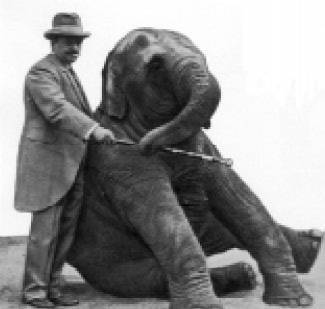 В. Л. Дуров со слоном