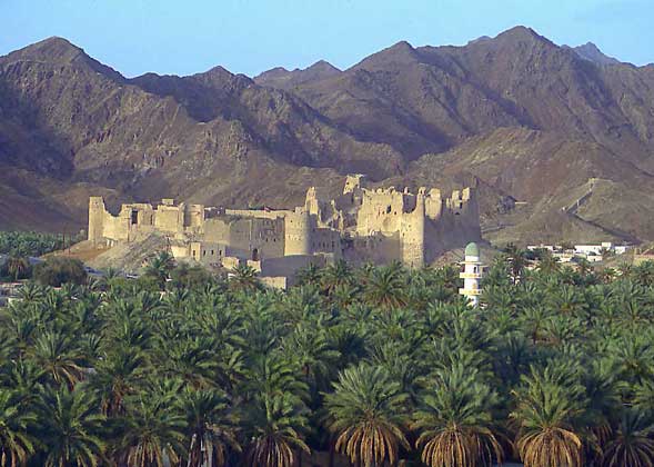 ОАЗИС близ крепости бала в Омане
