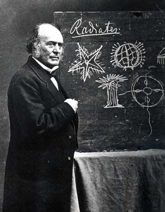 ЖАН ЛУИ РОДОЛЬФ АГАССИС