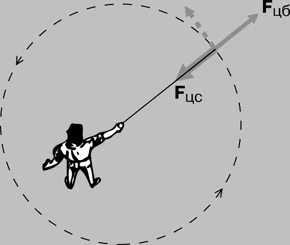 Рис. 5. ДВИЖЕНИЕ ТЕЛА ПО ОКРУЖНОСТИ. Fцс - центростремительная сила; Fцб - центробежная сила; штриховой стрелкой показано направление движения по инерции. Центростремительная сила увлекает тело с пути, соответствующего прямолинейному движению по инерции. Сила сопротивления этому увлечению называется центробежной силой.
