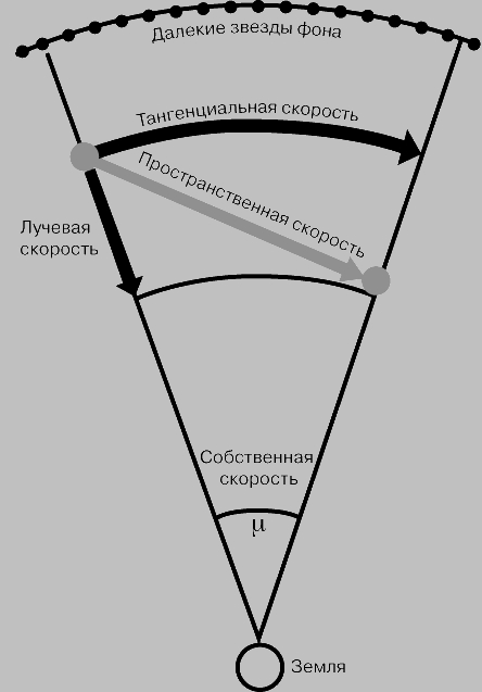 ДВИЖЕНИЕ ЗВЕЗДЫ В ПРОСТРАНСТВЕ невозможно определить непосредственно, но можно вычислить, измерив тангенциальную скорость поперек луча зрения, которая определяется угловым собственным движением звезды (m) и расстоянием до нее, а также радиальную скорость вдоль луча зрения (лучевую скорость).