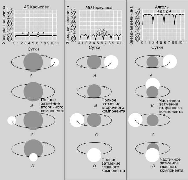 КРИВЫЕ БЛЕСКА ЗАТМЕННЫХ ДВОЙНЫХ различаются по глубине, периоду и форме в зависимости от светимости, относительного размера и расстояния между звездами. Если вокруг большой и яркой звезды обращается маленький и тусклый компаньон (слева), как в AR Кассиопеи, то видны лишь слабые вариации блеска. Если размеры звезд примерно одинаковы, а светимости различаются (в центре), как в MU Геркулеса, то кривая блеска имеет два округлых максимума, расположенных примерно посередине между минимумами. Если яркая звезда движется в паре с крупным, но неярким соседом (справа), как в Алголе, то на кривой блеска между глубокими главными минимумами видны мелкие вторичные.