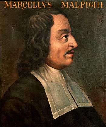 МАРЧЕЛЛО МАЛЬПИГИ, итальянский анатом, который первым применил микроскоп для систематических и сравнительных исследований растений и животных.