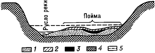 Схема строения аллювия равнинной реки.