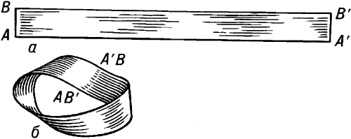Построение листа Мёбиуса.