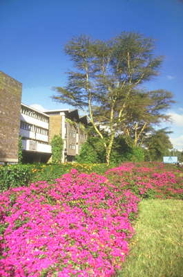 Университет Найроби.