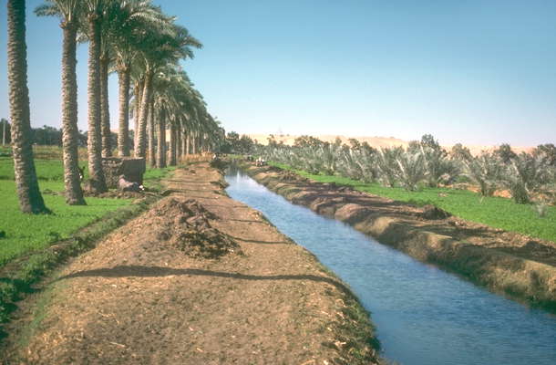 Ирригационный канал в дельте Нила.