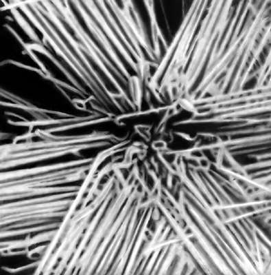 Нитевидные кристаллы. АIN (электронно-микроскопическое изображение, увеличено в 3000 раз).