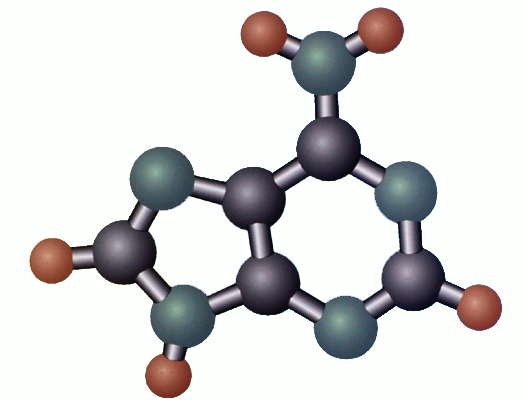 Модель молекулы аденина.