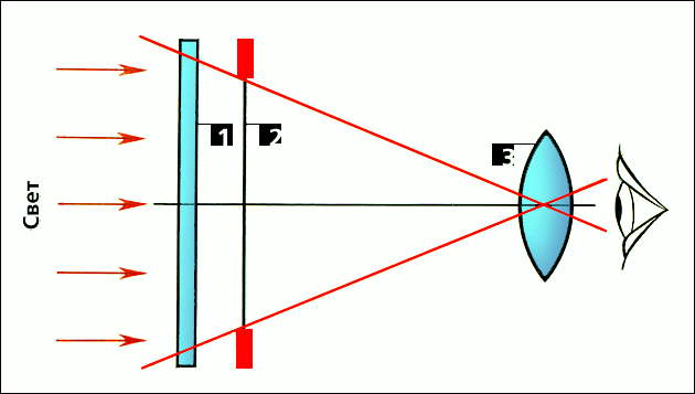Диаскоп. Оптическая схема диаскопа: 1 - матовое стекло; 2 - диапозитив (слайд); 3 - окуляр.