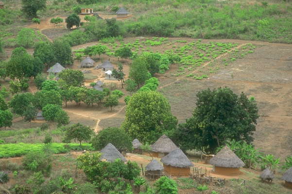 Зимбабве. Деревня в долине Хонде.