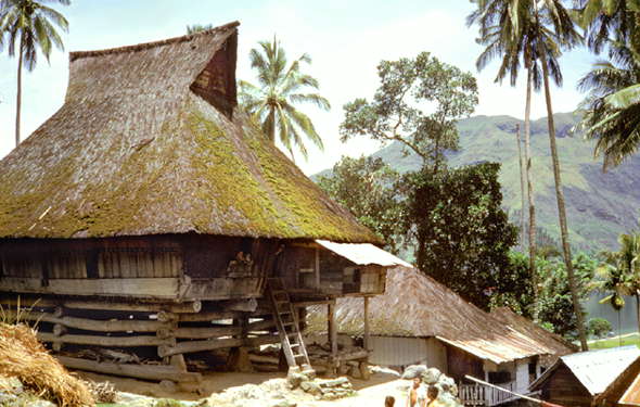 Индонезия. Традиционное жилище.
