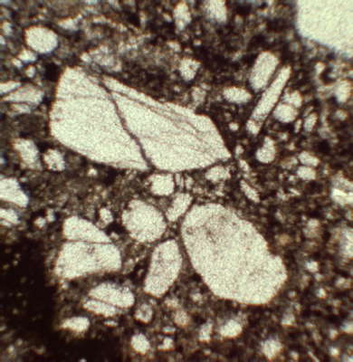 Кимберлит. Снимок под поляризационным микроскопом (увеличено в 40 раз), без анализатора.