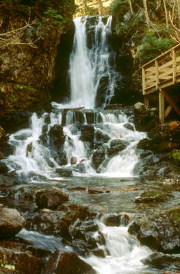 Горный водопад. Коста-Рика.