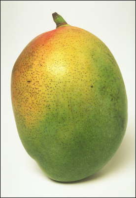 Плод манго.