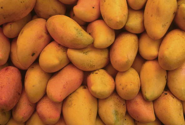 Плоды манго.