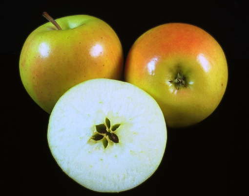 Яблоки.