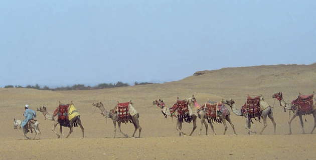 Караван, пересекающий Сахару.