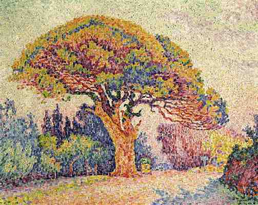 Поль Синьяк. Сосна в Сен-Тропез.