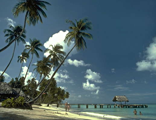 Солнечный чистый песчаный пляж. Тринидад и Тобаго.