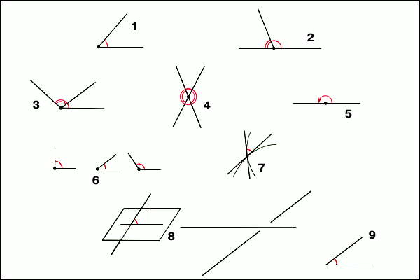 Углы: 1- общего вида; 2 - смежные; 3 - прилежащие; 4 - вертикальные; 5 - развернутый; 6 прямой, острый и тупой; 7 - между кривыми; 8 - между прямой и плоскостью; 9 - между скрещивающимися прямыми (не лежащими в одной плоскостью) прямыми.