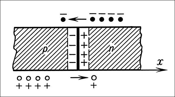 Электронно-дырочный переход (схема): чёрные точки - электроны; светлые - дырки (x - координата).