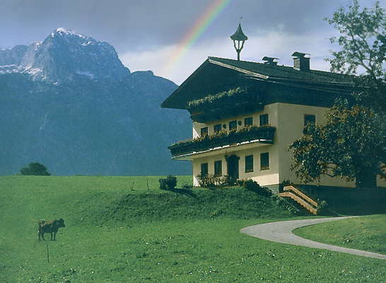 Австрия. Альпийские луга.