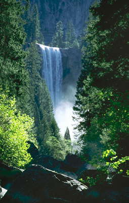 Америка. Водопад в Национальном Йосемитском парке. США. Калифорния.